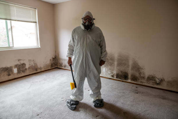 Best Emergency Mold Removal  in Siler City, NC